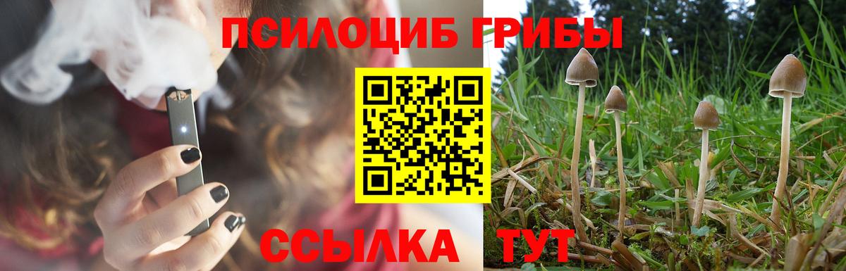 Псилоцибиновые грибы Magic Shrooms Сургут
