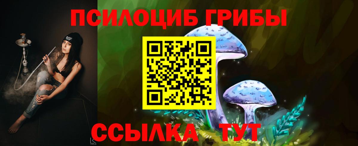Псилоцибиновые грибы Magic Shrooms  Галлюциногенные грибы Psilocybine cubensis  Сургут  Вход с VPN 